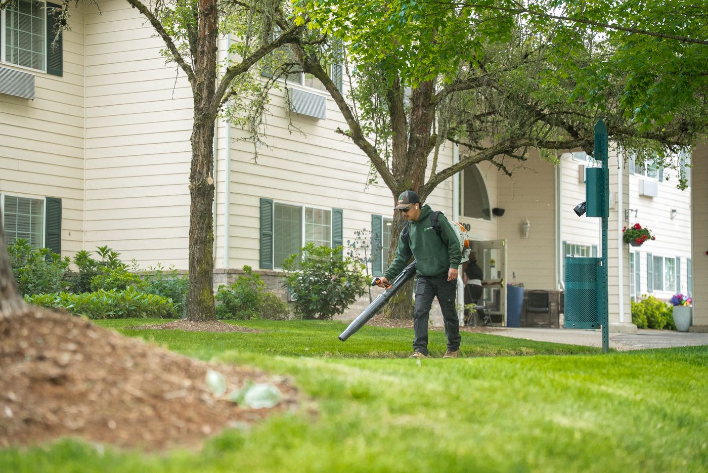 Landscape cleanup and trimming for a Willamette Valley property