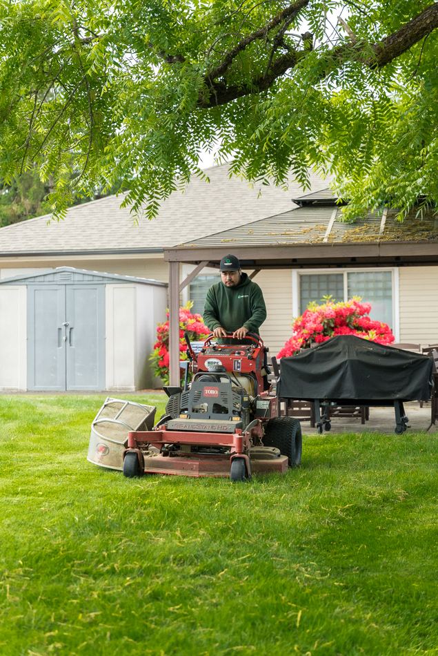Freshly maintained lawn area for an Oregon property