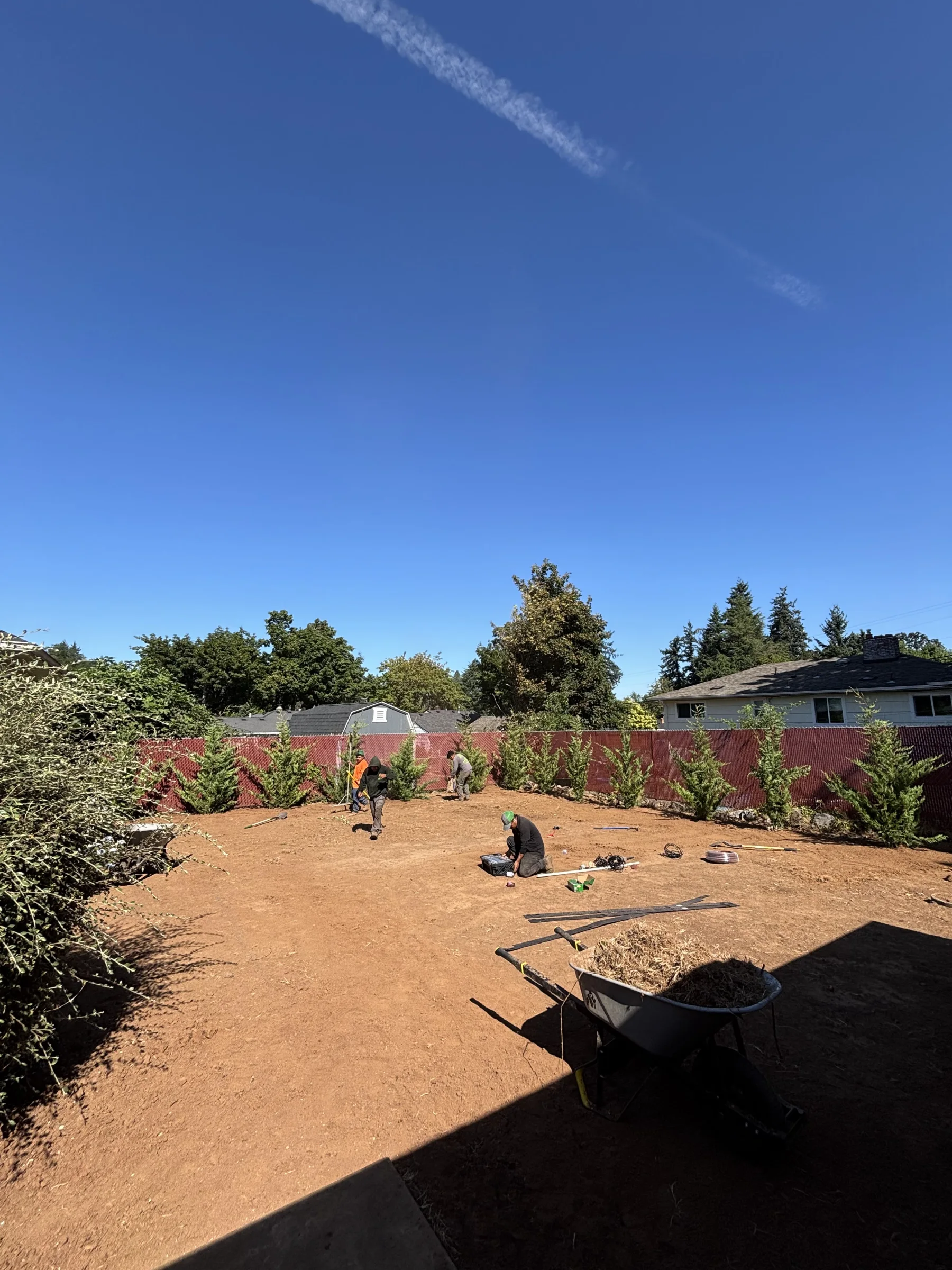 Professional landscape bed installation beside a commercial walkway